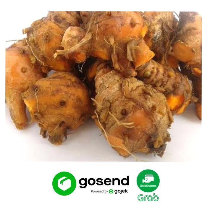 

Terlaris Biang Kunyit Segar (250 Gram)