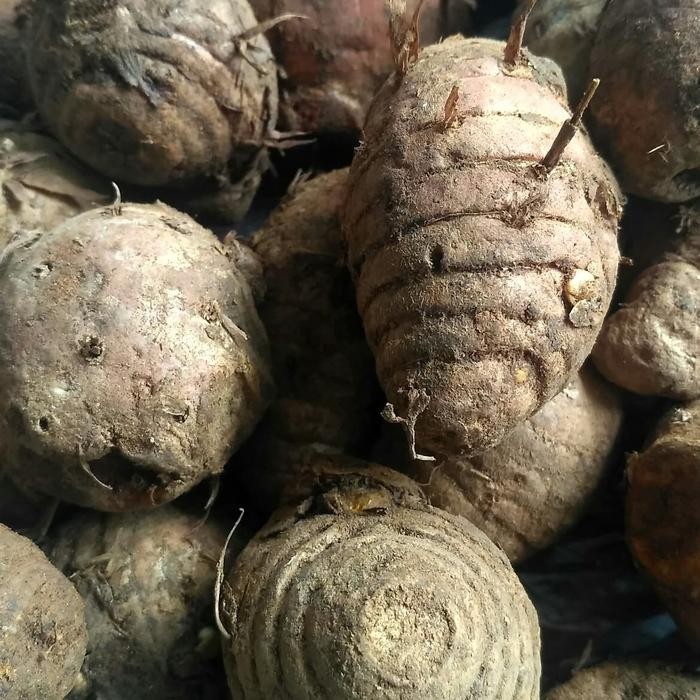 

Terlaris Empu Kunyit / Kunir 1/2Kg