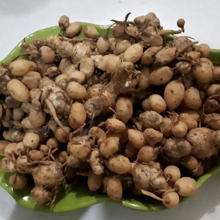 

Terlaris Kunyit Putih - 250 Gram