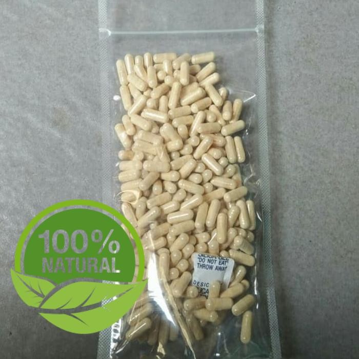 

Terlaris Kunir Putih Kunyit Putih 300Kapsul Halal Mui Obat Kanker Murni 100%