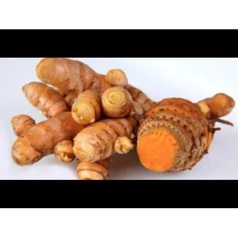 

Terlaris Kunyit Biang/Kunyit Besar/Kunyit Jamu/Dapoer Mateep