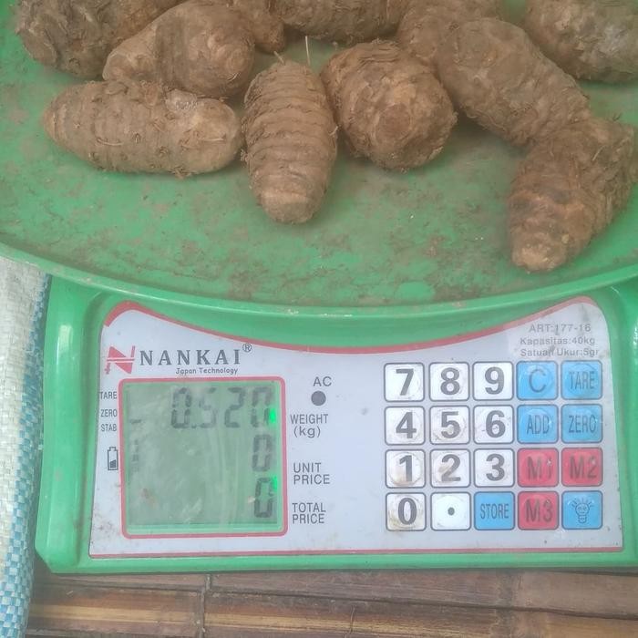 

Terlaris Induk Kunyit , Biang Kunyit , Empu Kunyit Segar Fress 250Gr