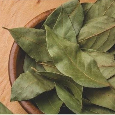 

TERMURAH!! Daun Salam (Kering) Herbal Rempah Organik