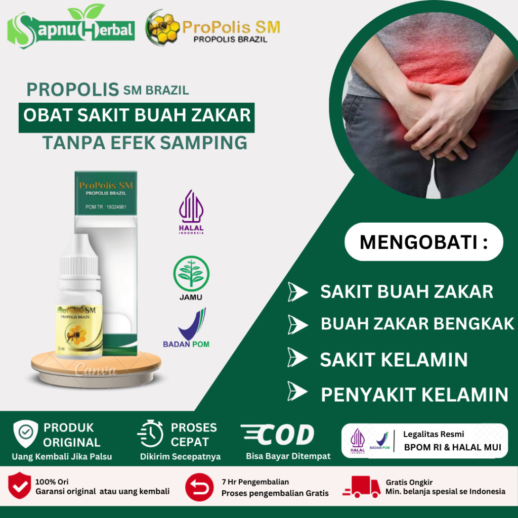 OBAT SAKIT BUAH ZAKAR, OBAT BUAH ZAKAR BENGKAK, OBAT VARIKOKEL, OBAT BUAH ZAKAR BESAR SEBELAH, OBAT