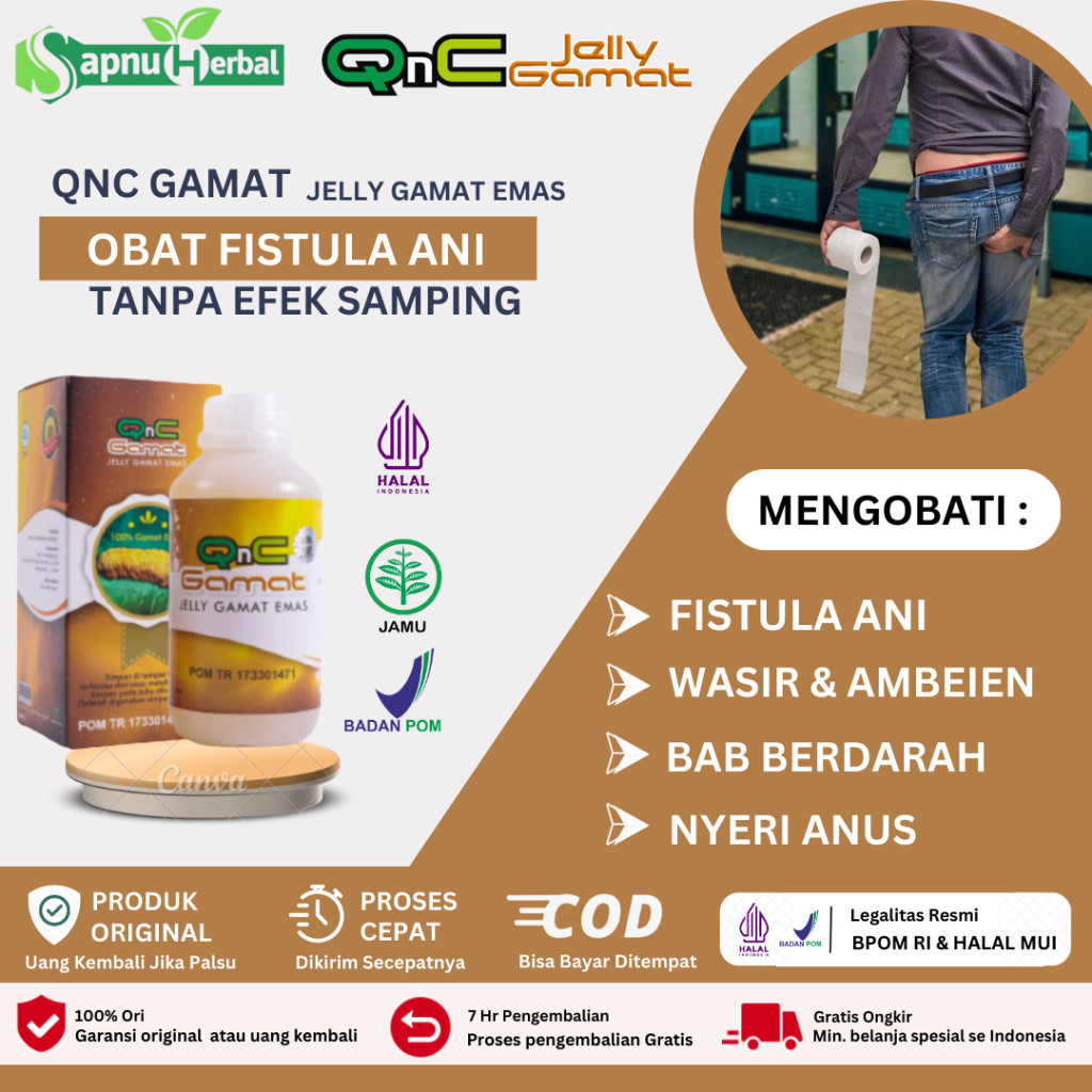 SAPNU HERBAL - OBAT FISTULA ANI/ANAL, OBAT BENJOLAN DI ANUS, SAKIT ANUS BENGKAK, ABSES ANUS, BISUL