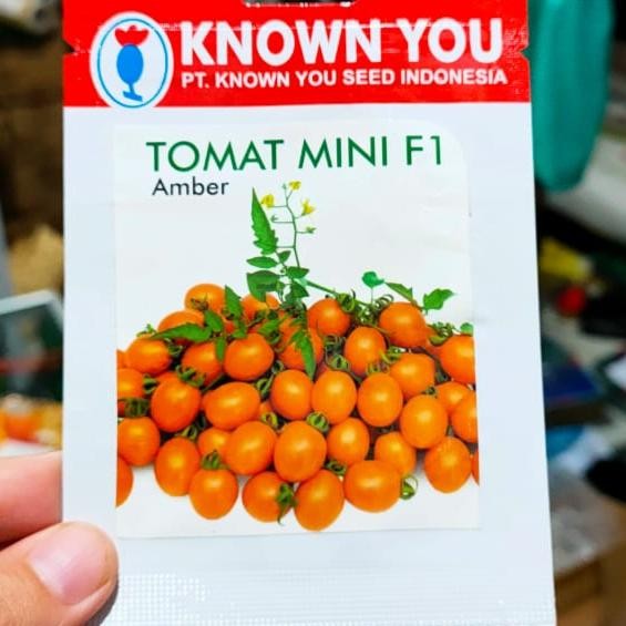 TERMURAH benih tomat cherry amber - benih tomat mini
