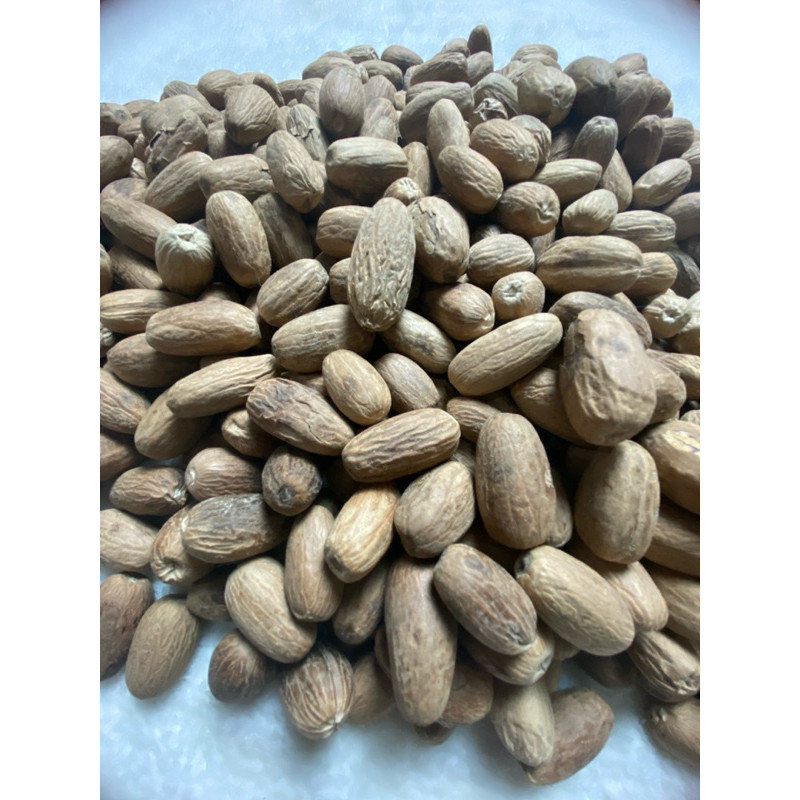 

Konter Makanan Biji Pala Lonjong 1Kg / Biji Pala Panjang / Nutmeg Seed / Bumbu Masak / Rempah-Rempah