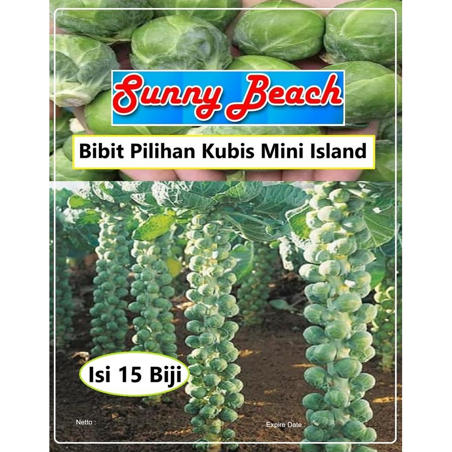 Bibit Pilihan Kubis Mini Island Biji Benih Kol MiniBiji Bibit Kubis
