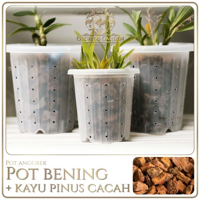 Pot Anggrek Transparan Akar Sehat Pot Lubang Pinggir Pot Plastik 15