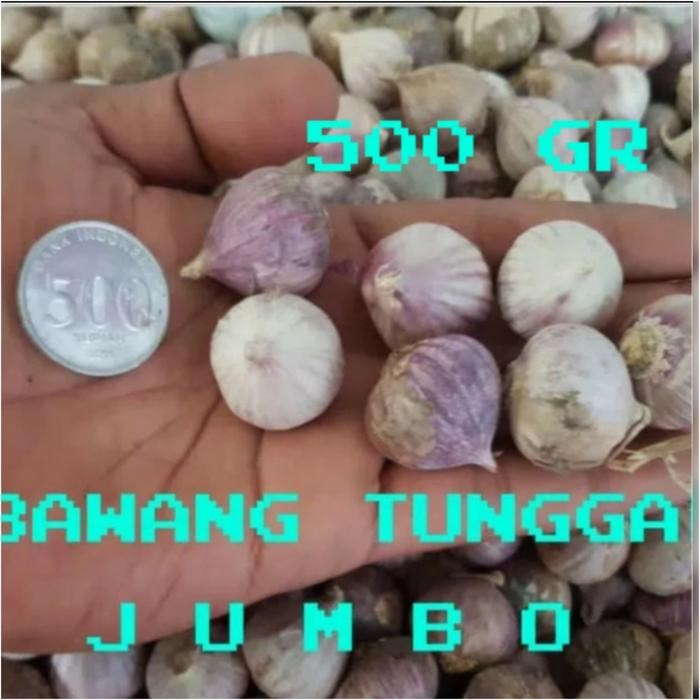 

BAWANG PUTIH TUNGGAL/BAWANG LANANG 500GRAM New