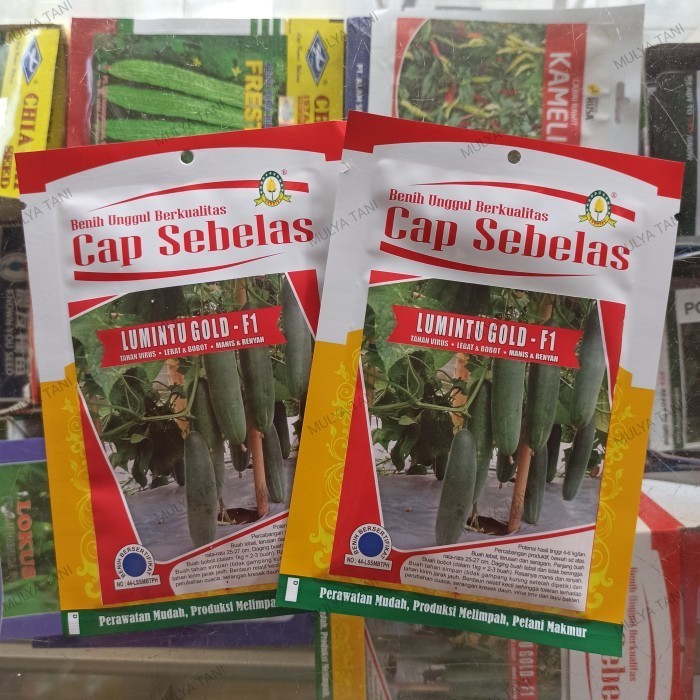 (Allthebest) Benih Timun Lumintu Gold F1 20 Gram