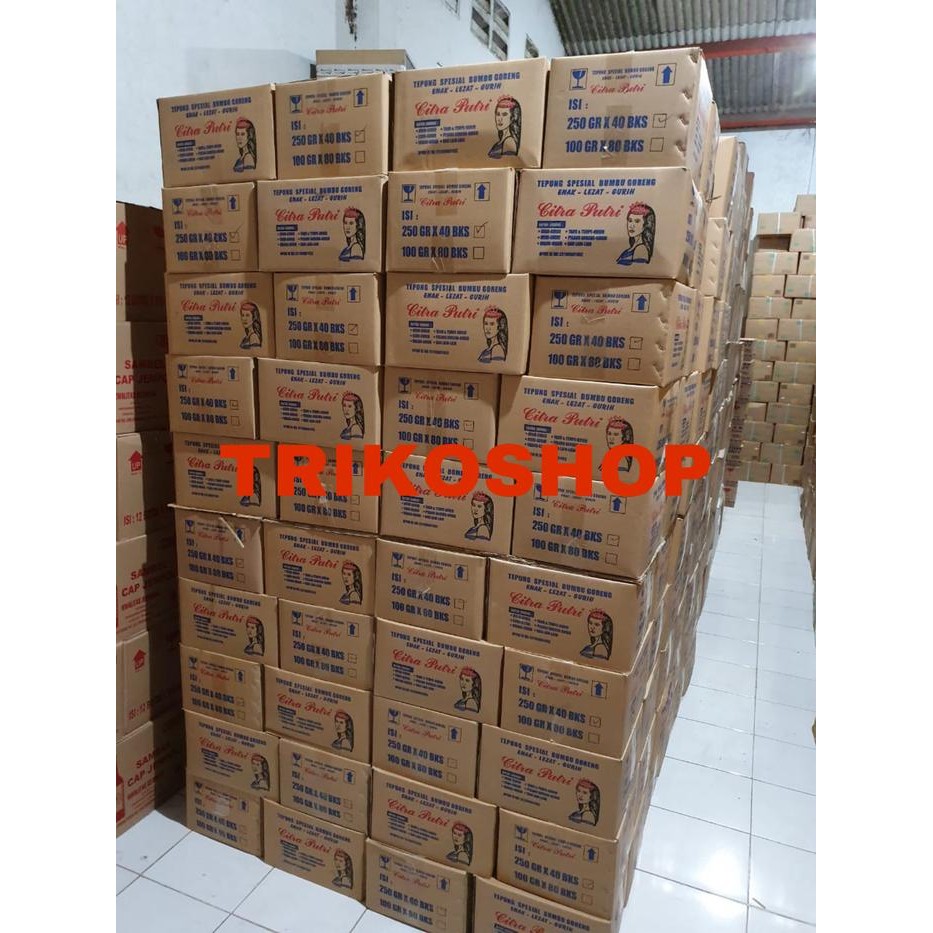 

Tepung Bumbu Serbaguna Citra Putri 250gr Dus an isi 40 pcs