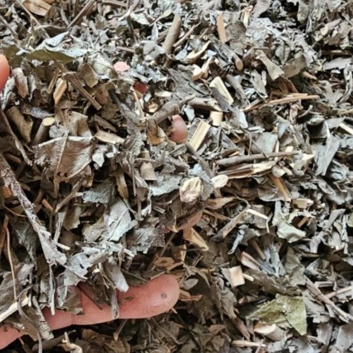 

TERMURAHH!! Herbal Jamu Daun Keji Beling Kering 1kg