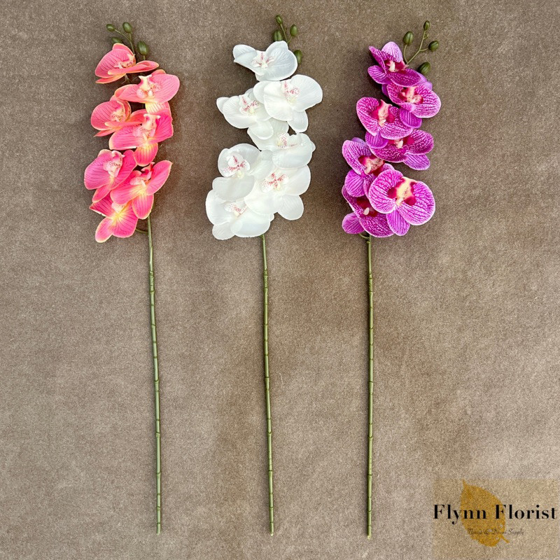 (Homelytouch Bunga Anggrek Premium Kain Lukis (Satuan) Bunga Orchid Anggrek Bulan Dekorasi Cafe