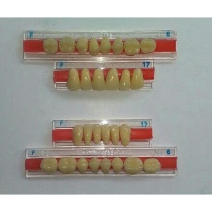 GIGI PALSU / TIRUAN FULL SET - ITALDENT