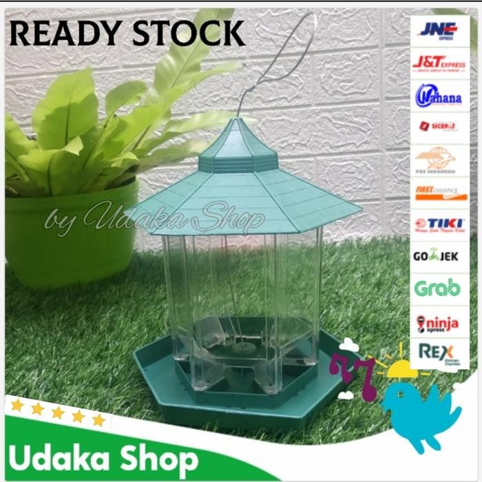 sedekah makan burung liar