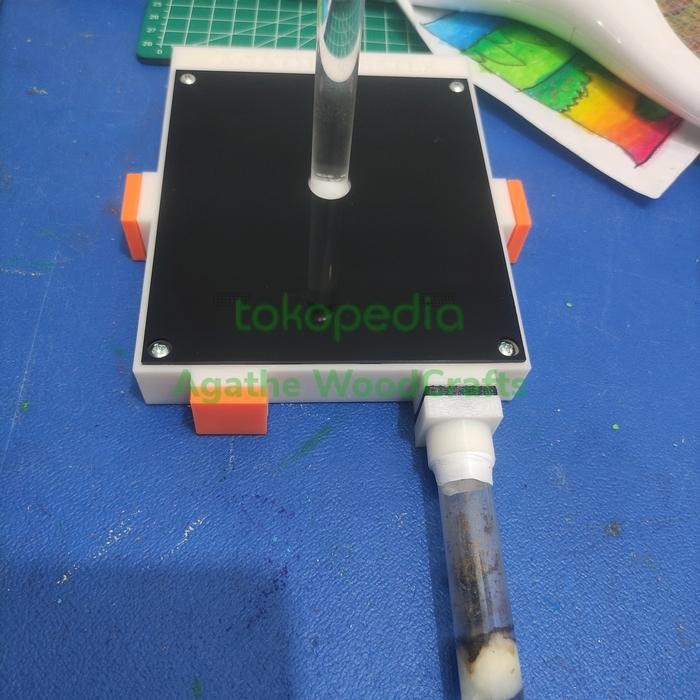 Formicarium L / Ant Nest / agathe.beetle Formicarium / Rumah Semut