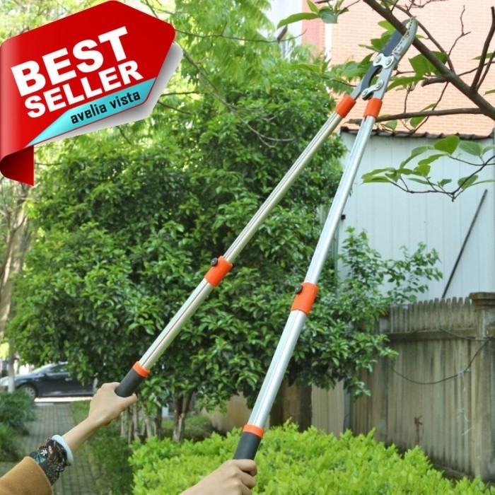 TERLARIS Gunting Pohon Dahan Ranting Tinggi - Gunting Ranting Gagang Panjang