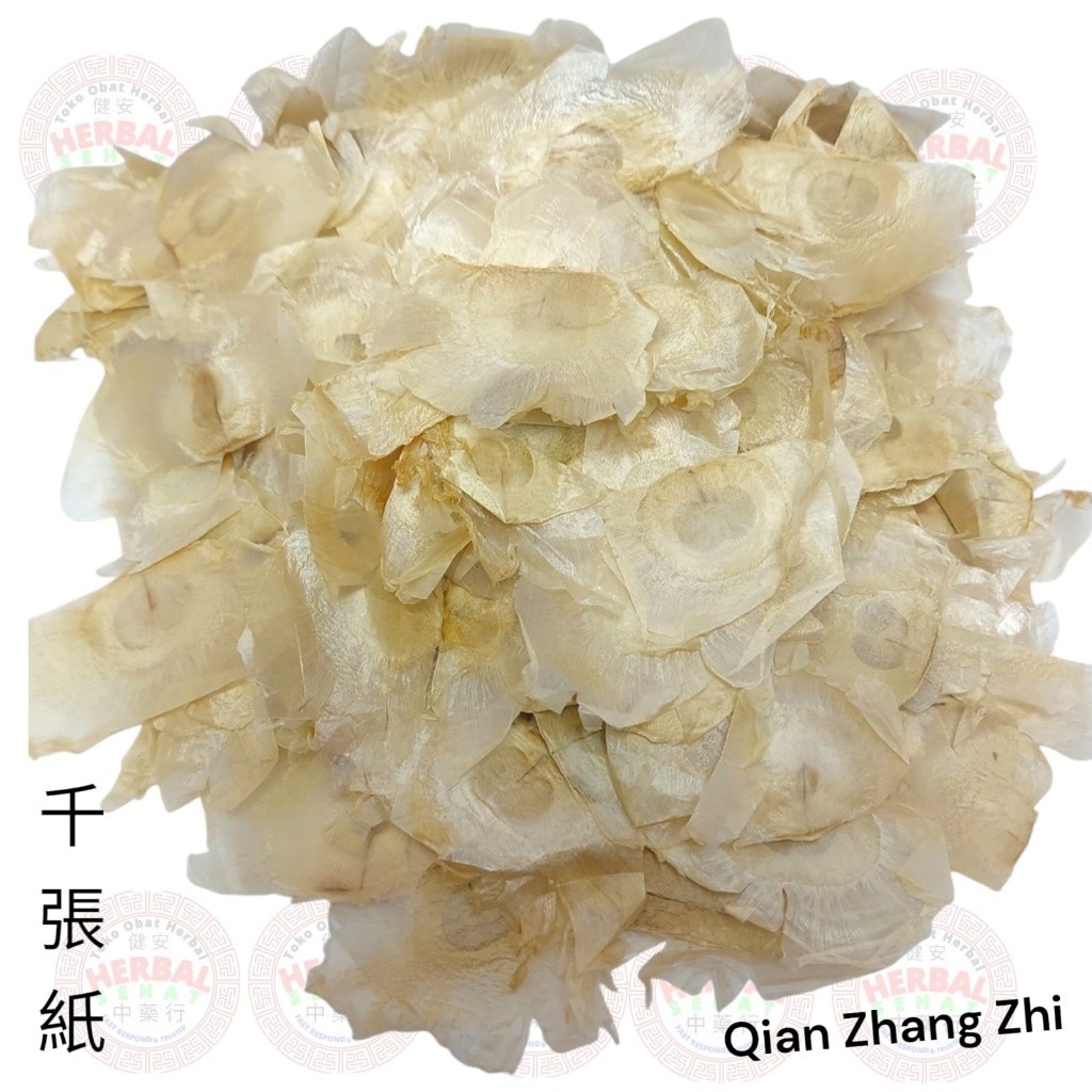 

Qian Zhang Zhi Cien Cong Ci - Kertas Seribu - Indian Trumetflower Seed PREMIUM