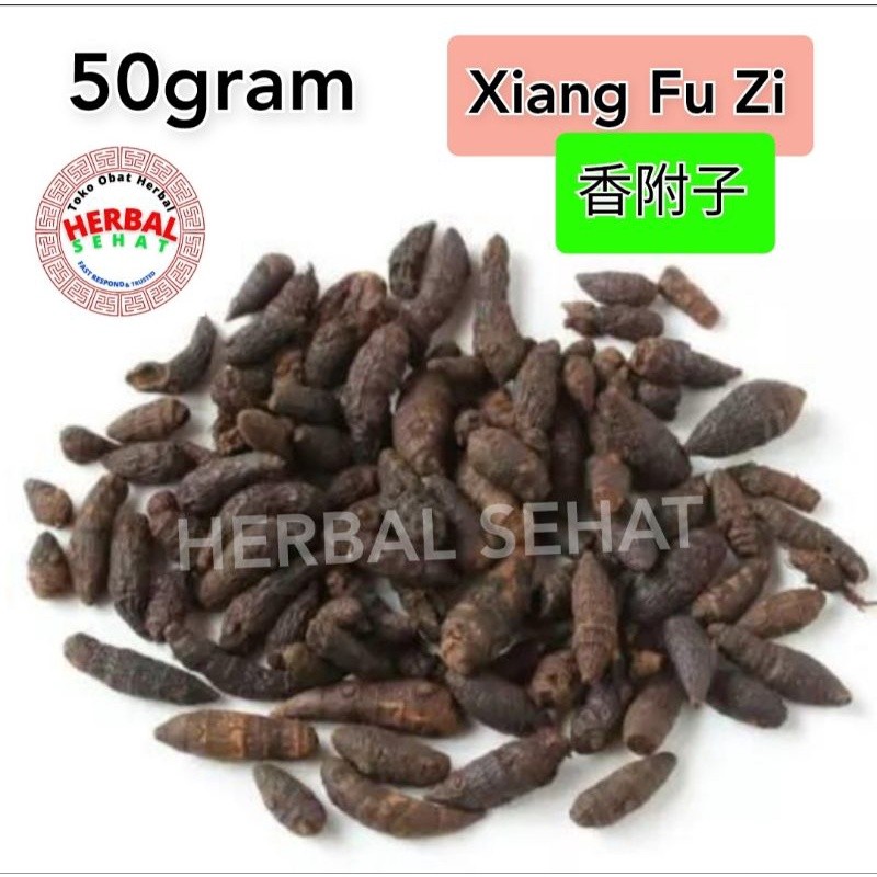 

Xiang Fu Pian 50 gram - Xiangfu / / Rhizoma Cyperi Rotundi PREMIUM