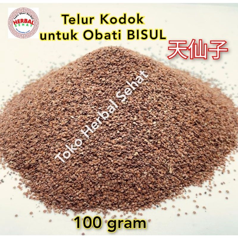 

100gram 100 Persen ASLI Telur Kodok Magic / Tian Xian Zi / Obat Bisul Herbal Alami / Asli PREMIUM