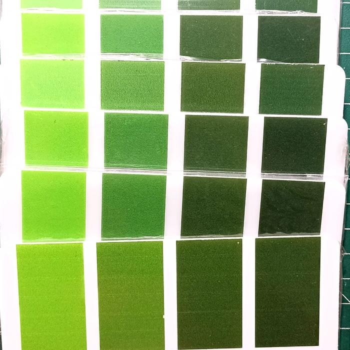 TERBARU BWD 4 chart (Bagan Warna Daun) untuk tanaman padi versi 2024 HOT SALE