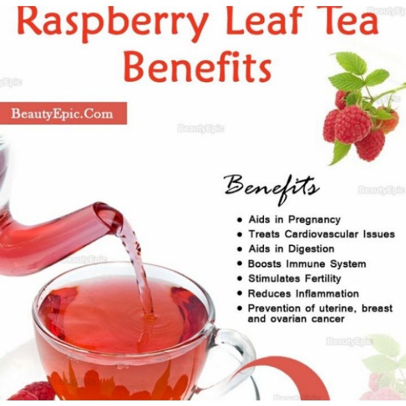 

WHYN!! ELIF TEA AND TISANE Raspberry Leaf Tea Red Raspberry Leaves Teh Daun Raspberry Merah Teh