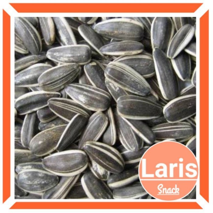 

1Kg Kuaci Rebo Kiloan / Kuaci Matahari 2 Varian Rasa (Susu / Original) Terlaris