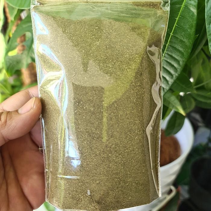 

TERMURAHH!! Bubuk Daun Beluntas 100gr - Bubuk Luntas Original Tanpa Campuran