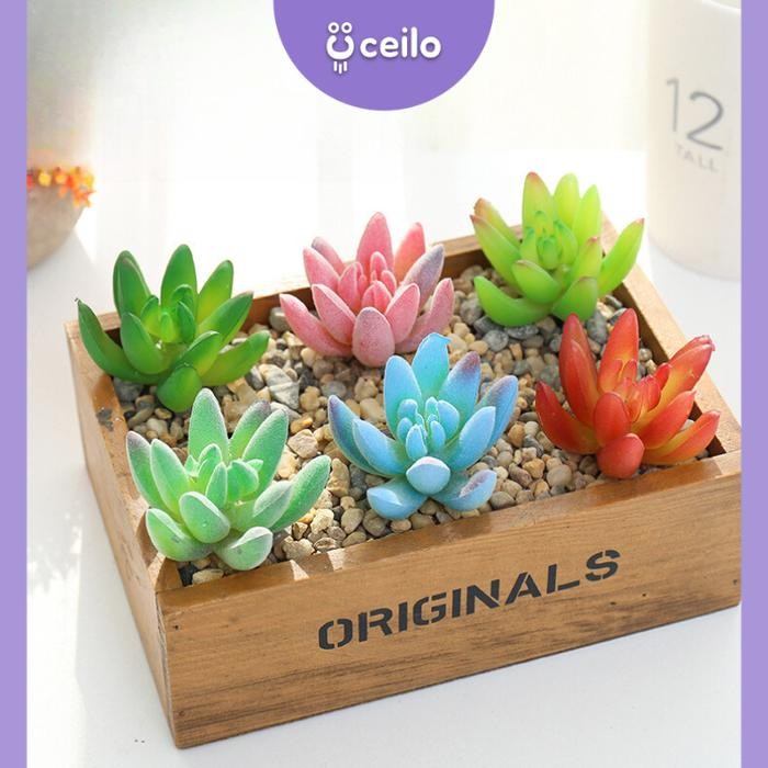 CEILO Sukulen Mini Tanpa Pot Kaktus Sukulen Artificial Sukulen Plastik Cactus Succulent Tanaman Hias