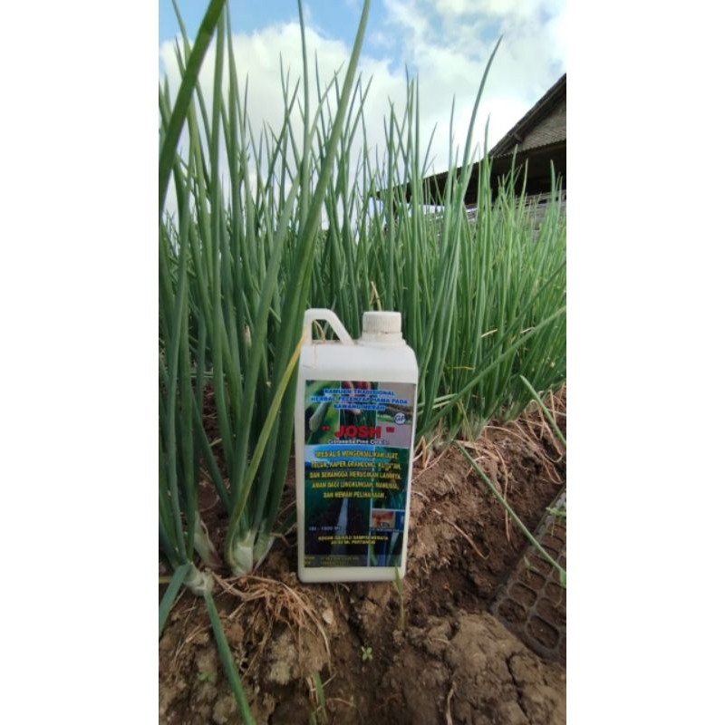 Flowersbloom Sitro Nella Pine Oil Plus Josh Atasi Janda Pirang Ulat Gurem Dll 10X Lbh Ampuh Cocok