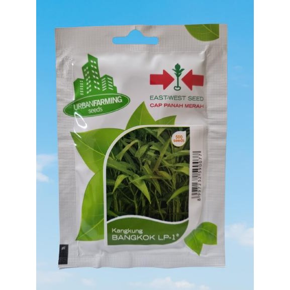 Ready Stock Benih Kangkung Darat Bangkok Lp-1
