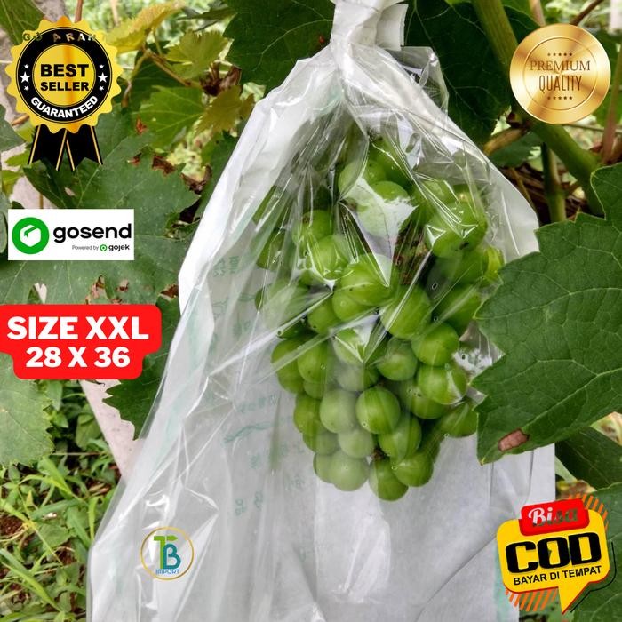 Ready Stock Fruit Cover/Pembungkus Buah Anggur Transparan Jambu,Mangga Dll