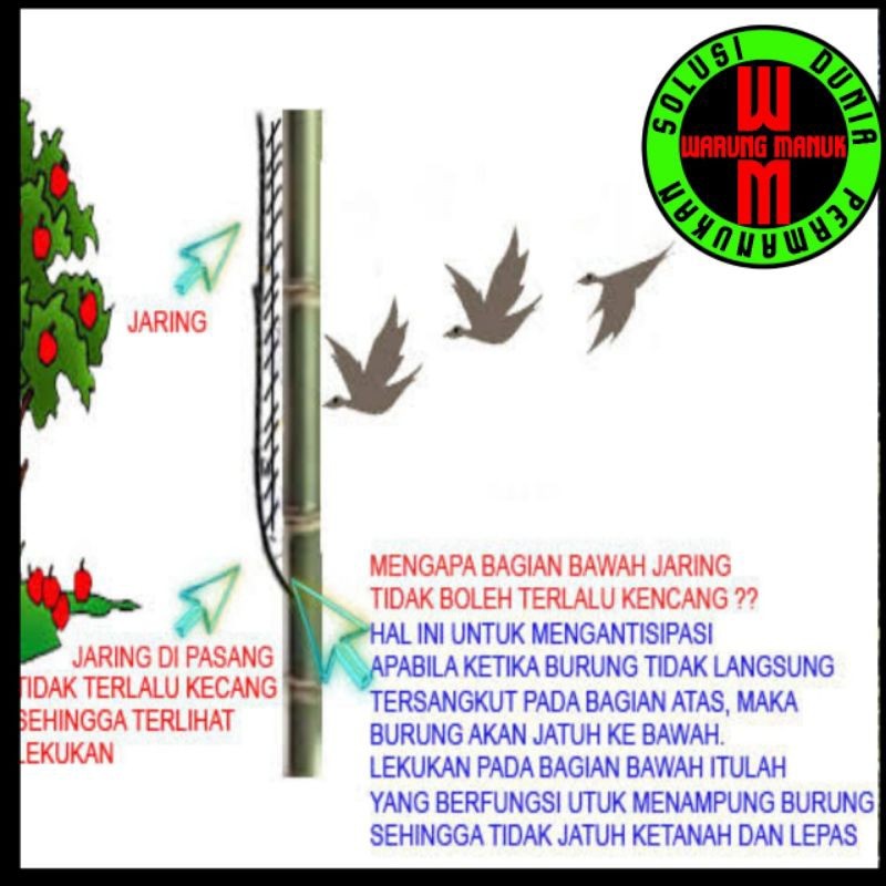 Jaring burung perkutut 20 meter, jebakan burung perkutut, jala burung perkutut, perangkap burung