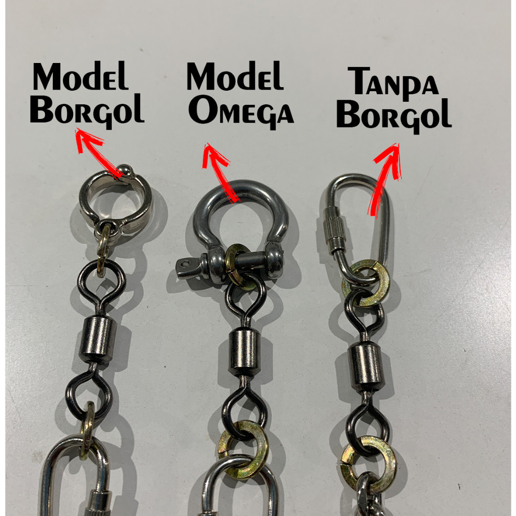 Rantai Kakatua Rantai Macaw Rantai Blue and gold Macaw Scarlet Macaw Rantai Afgrey Rantai Bayan Vos