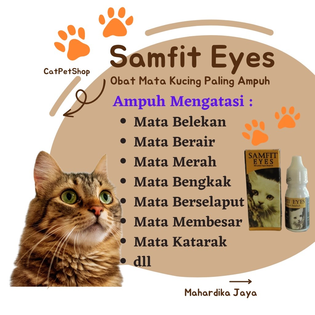 Obat Mata Kucing Belekan Berair Bengkak Berselaput Infeksi Bernanah Kitten Dewasa Samfit Eyes Eye