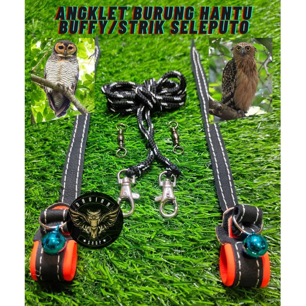 angklet MOTIF burung hantu buffy fish owl/strik seloputo