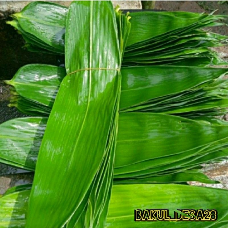 

Daun Bambu Bakcang 100 Lembar Daun Bambu Segar Bungkus Bacang / Bakcang Daun Bambu Jumbo / daun