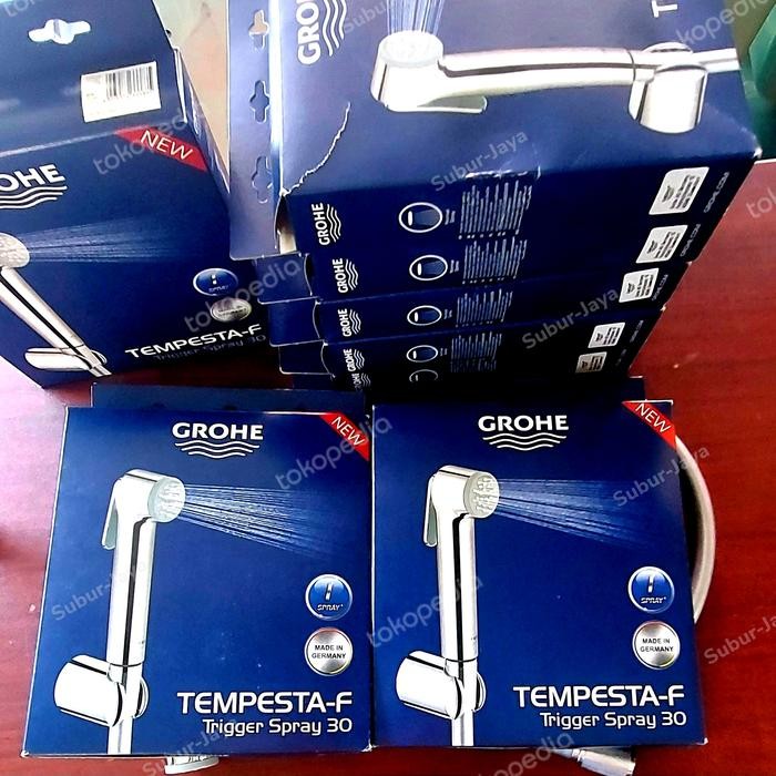 HOT SALE grohe toilet shower / jet shower grohe TEMPESTA