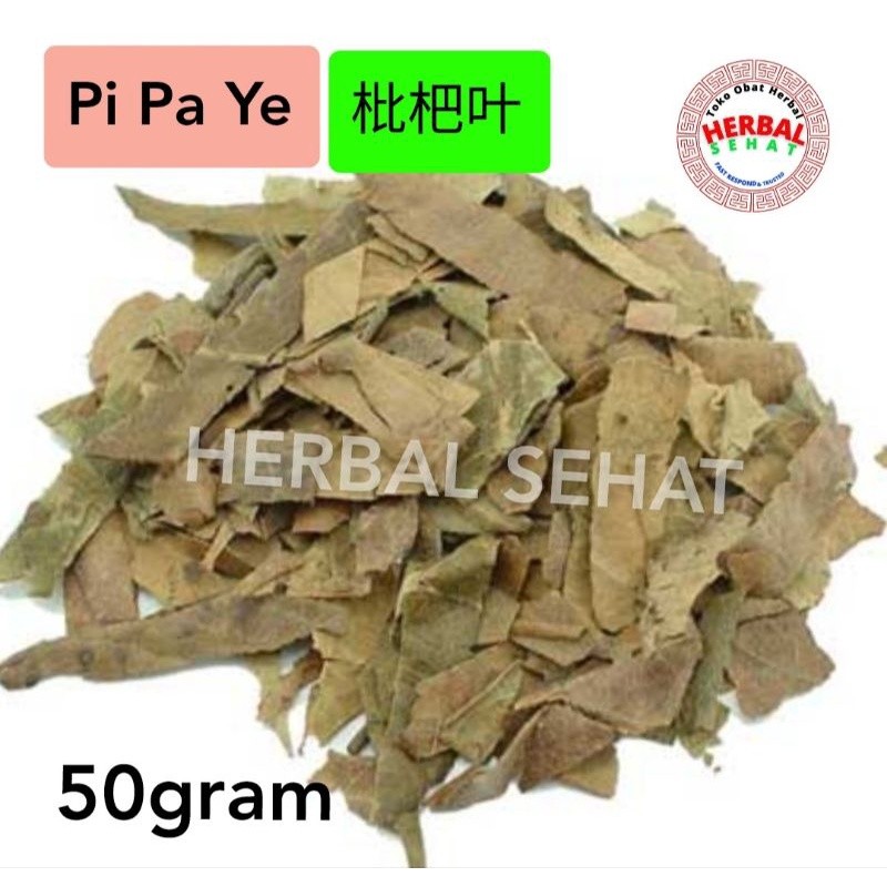 

50 gram - Pi Pa Ye Loquat Leaf Folium Eriobotryae Japonicae - PHI PHA JAP [PREMIUM]