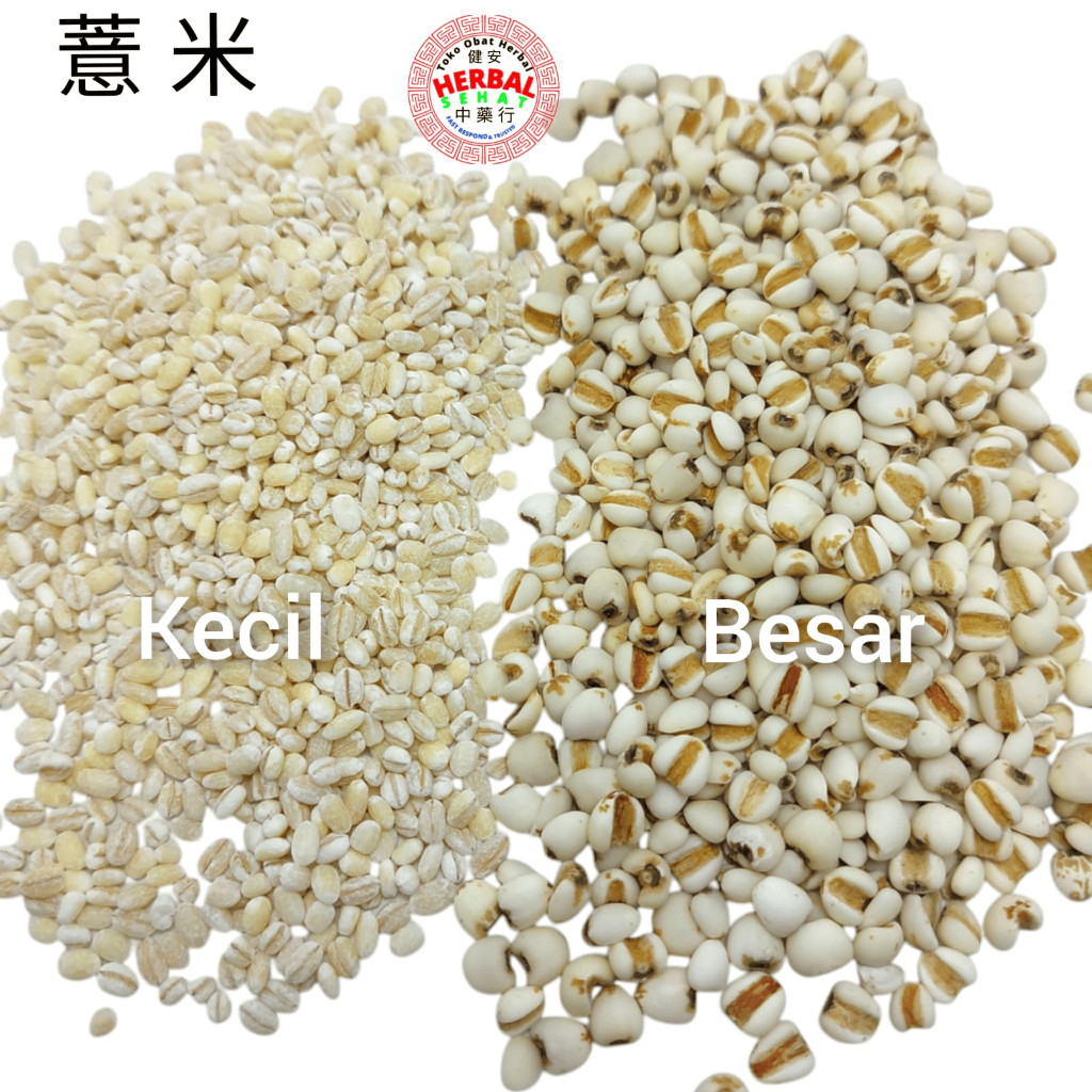 

1000 Kilogram - Jali jali - Yi Ren - Yimi - Yi Mi / Yiren / Jalijali Pearl Barley Mpasi [PREMIUM]