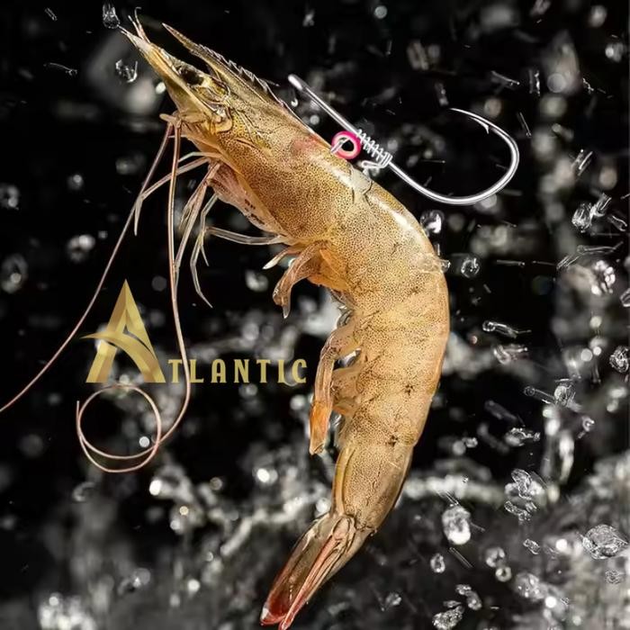 PREMIUM Mata Kail Pancing Umpan Udang Hidup Atlantic Alat untuk Mancing Ikan di Laut Sungai dan