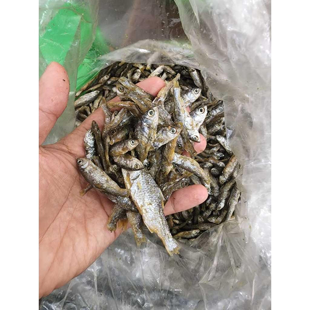 

IKAN BILIS ASLI DANAU SINGKARAK 250GR - 1000GR IKAN PREMIUM 100% ORIGINAL