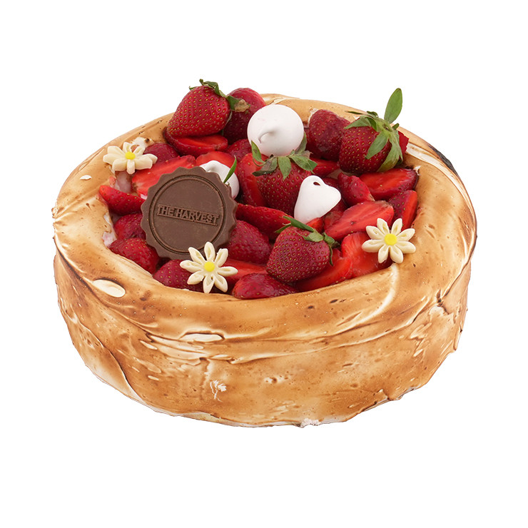 

The Harvest Strawberry Cheesecake 20 Round - Vanilla Flavored