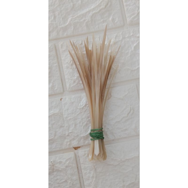 viral Simpai Tanduk Bule Kerbau 15 Cm 10/20 Pcs