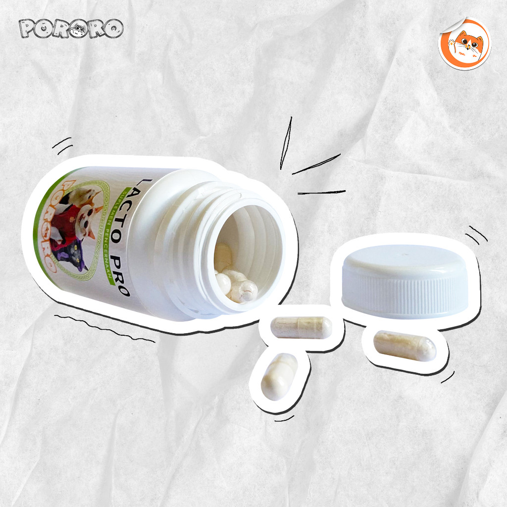 RB22 PORORO Vitamin Suplemen Pencernaan Kucing Lacto Pro 50 Capsules