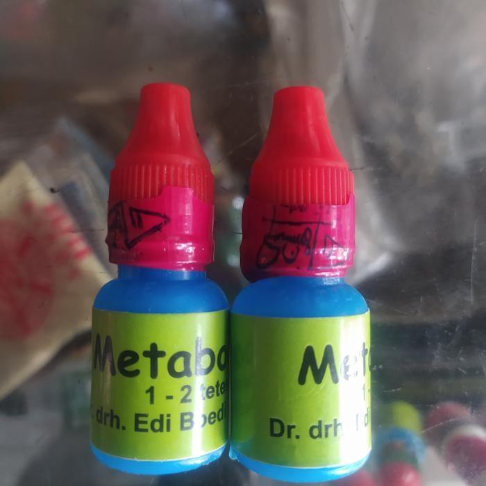 Baru.. Metabolisme Segel Merah