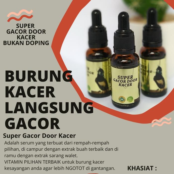 Masih Ready Penggacor Kacer Super Gacor Door Kacer Juara Lomba Gantang