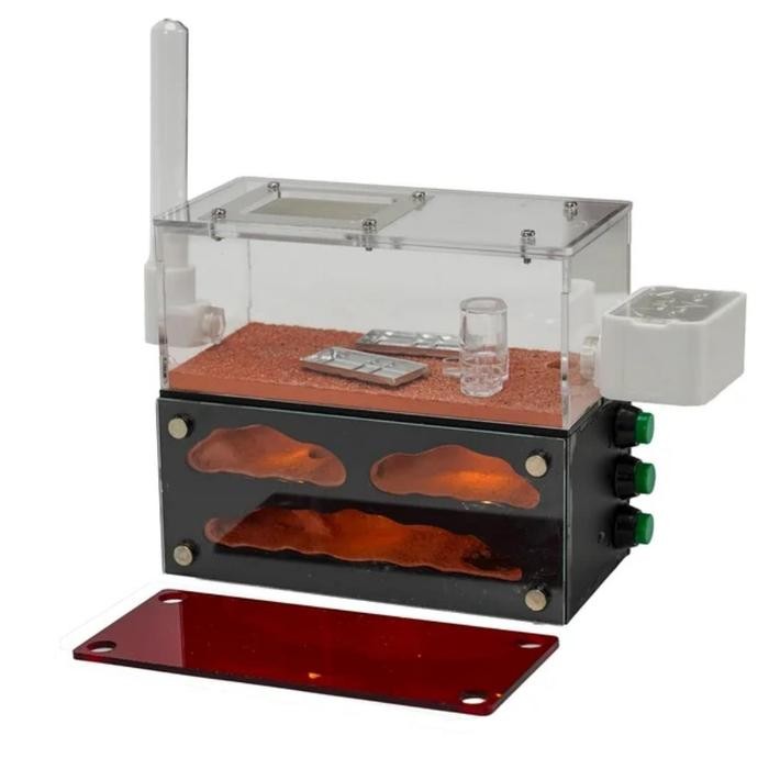 Formicarium Ecological Premium, Formicarium akrilik, Formicarium kaca, ants nest, ant, gypsum nest,