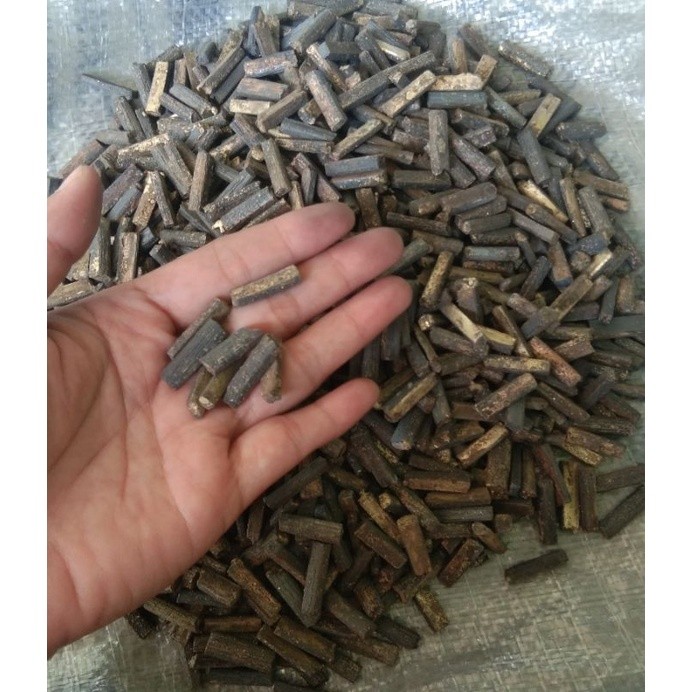 Segmen Bekas/Segmen Lidi